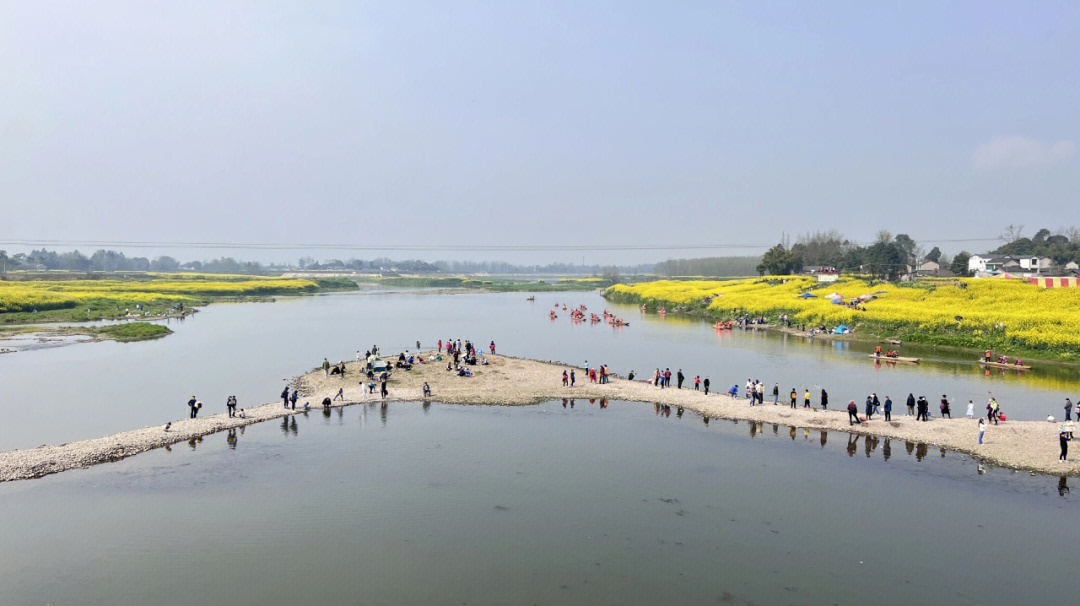 蒲江两河村油菜花图片