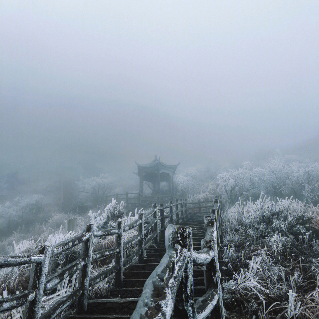 寒潮来袭广东又可以赏冬景了06