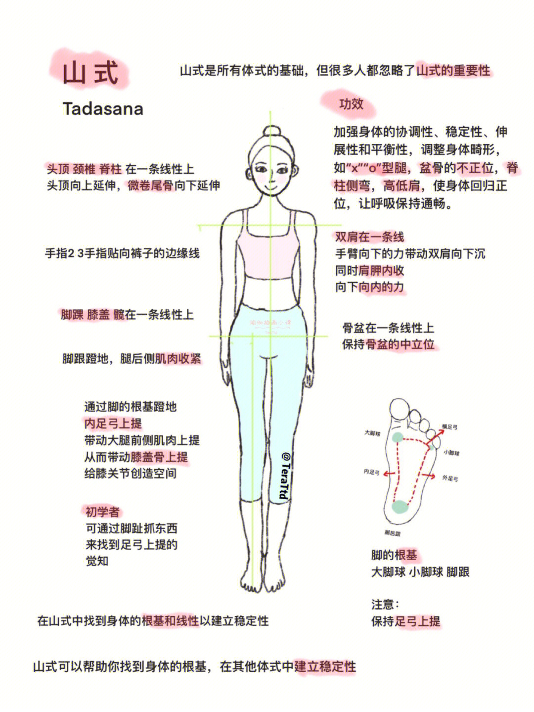 瑜伽体式分类整理图片