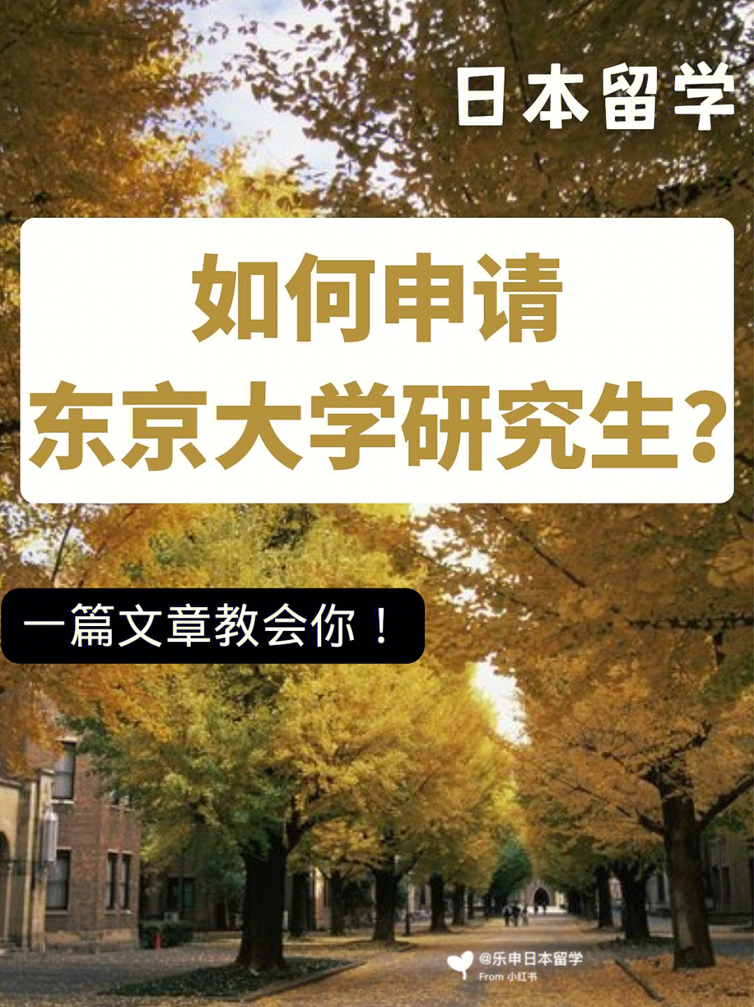 日本留学如何申请东京大学7169