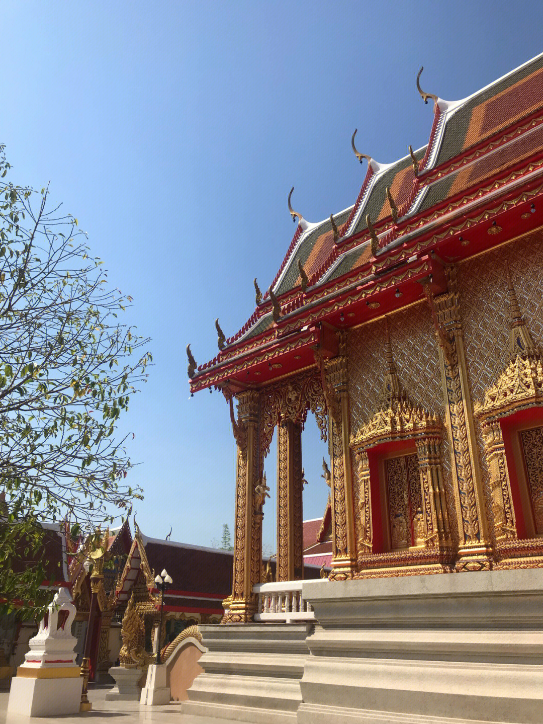 泰国佛教大学图片