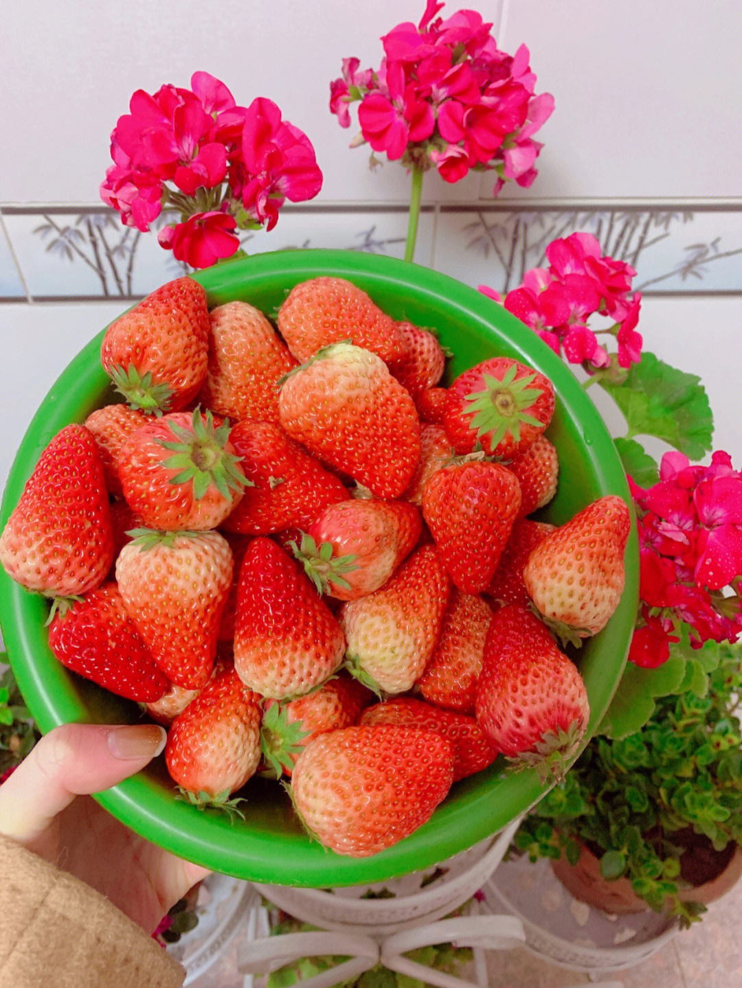 草莓伪装水果套路图图片