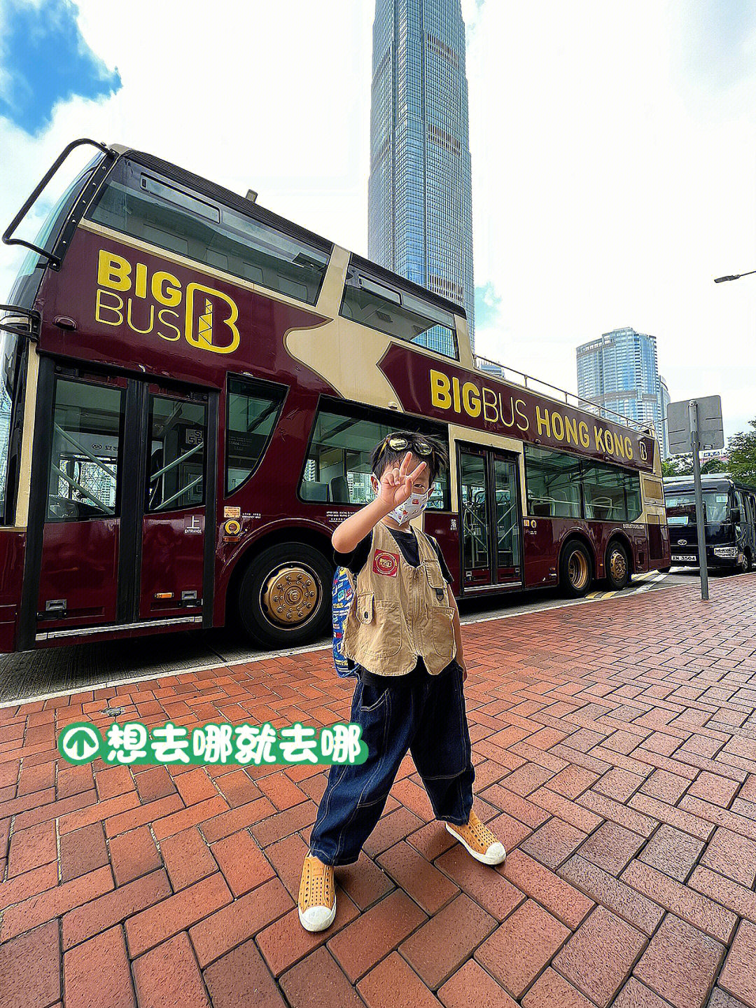 guided bus tour图片