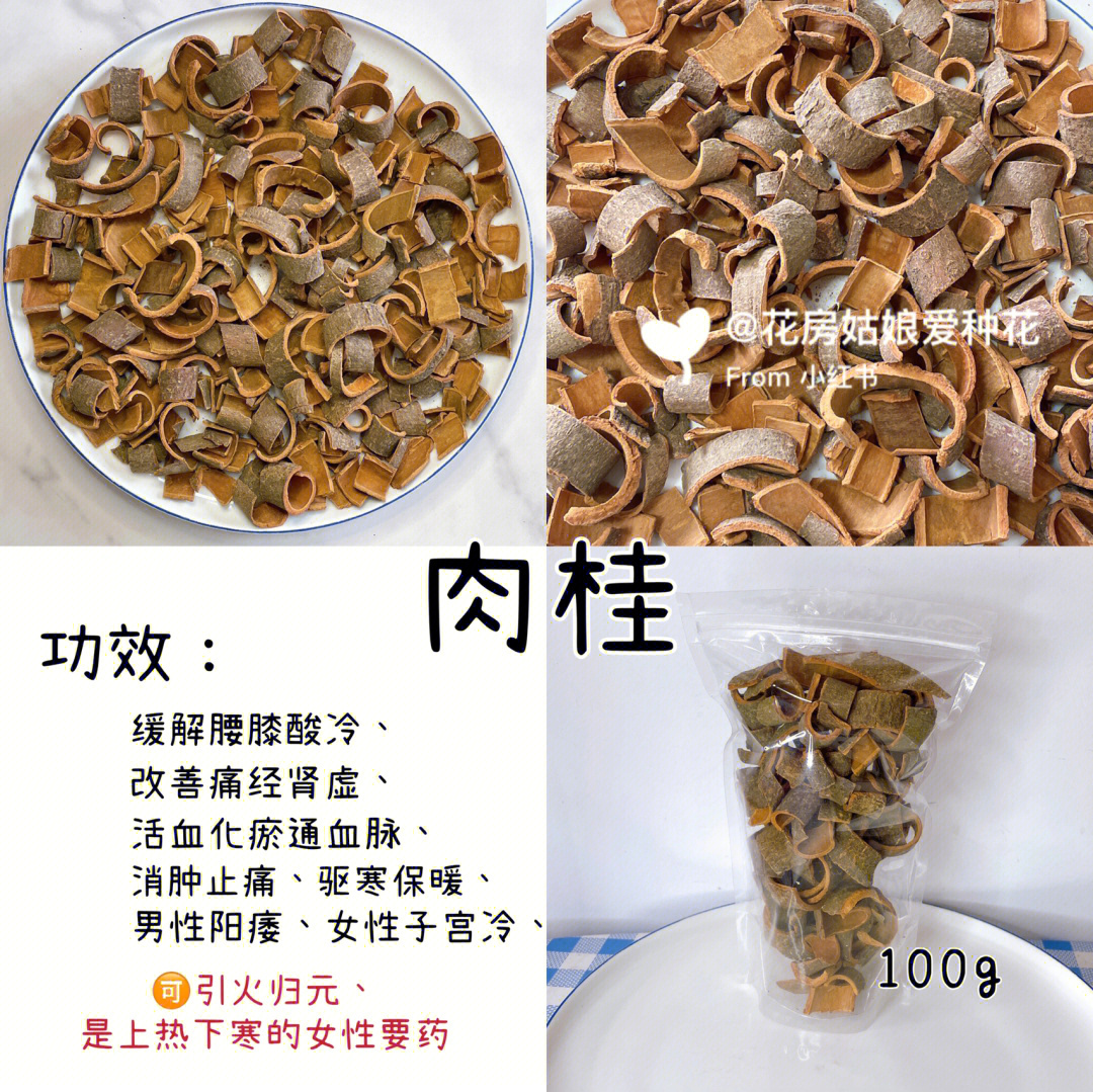 官桂的功效与作用图片