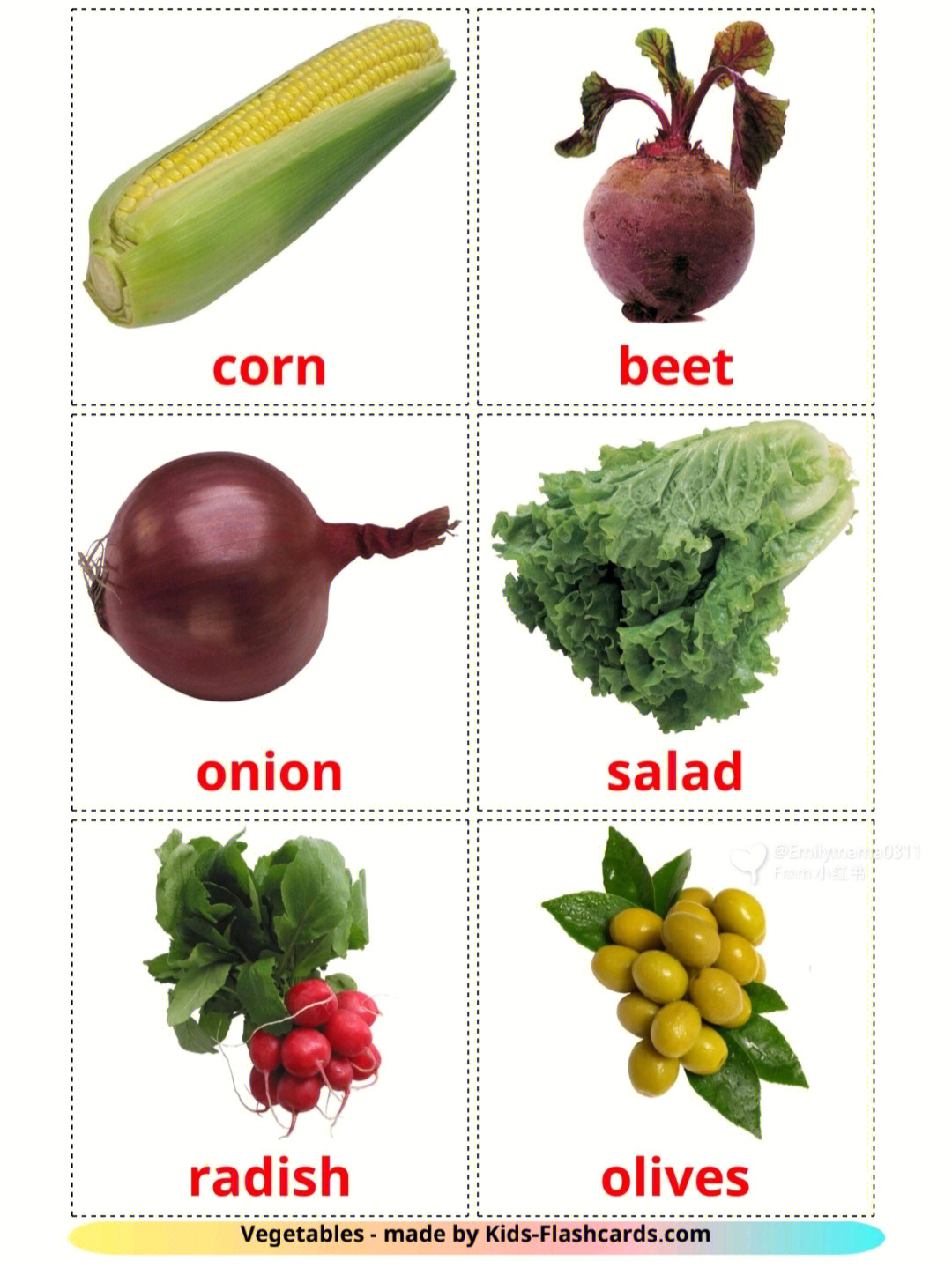 蔬菜英语怎么写图片