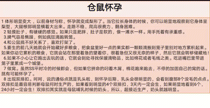 仓鼠怀孕多久生孩子图片