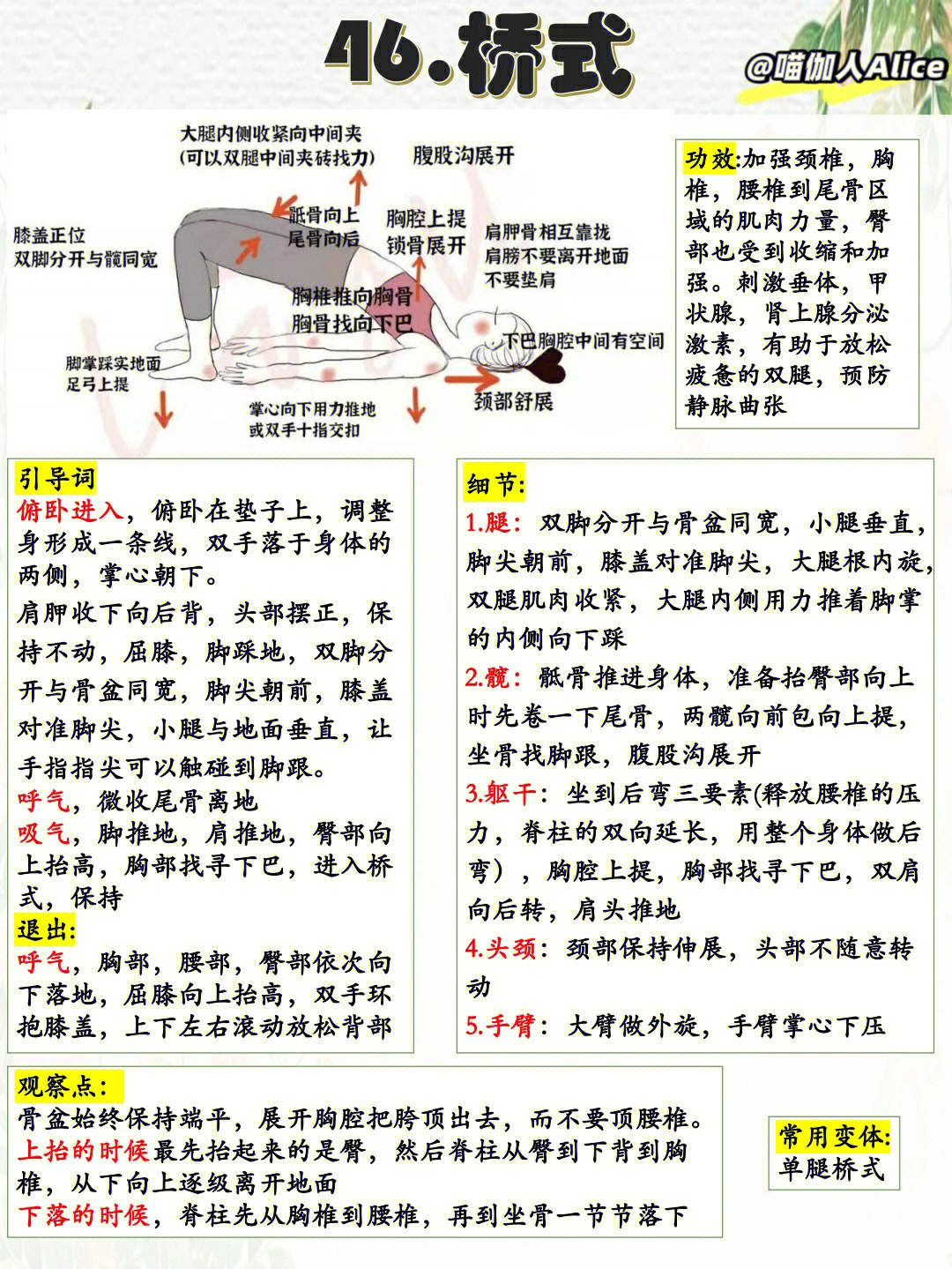 瑜伽教培笔记体式46桥式辅助手法和变体