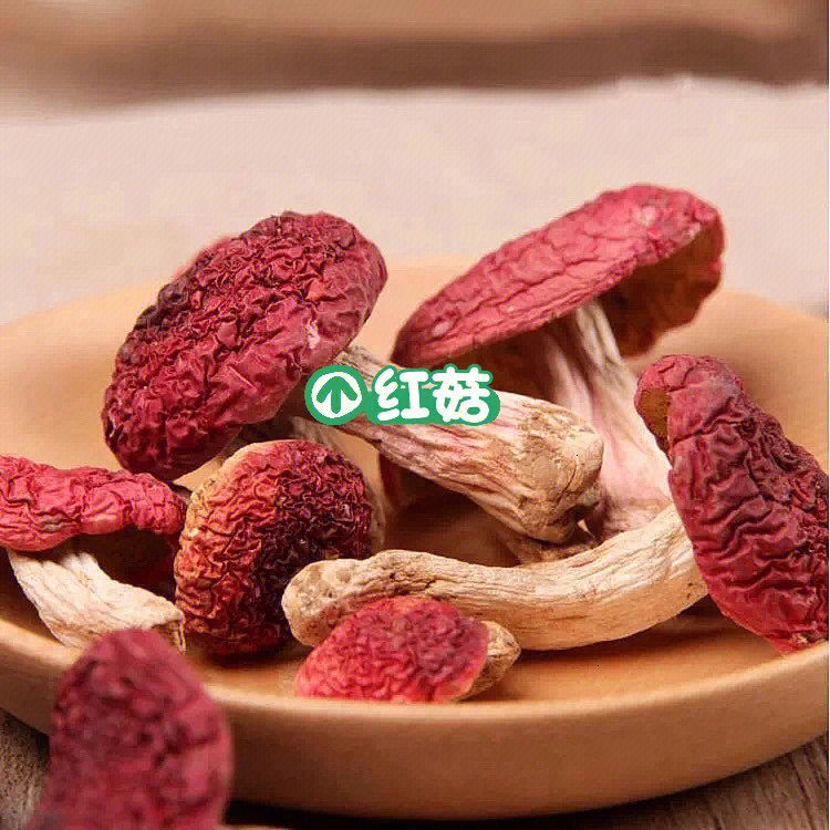 红菇怎么辨别真假图片