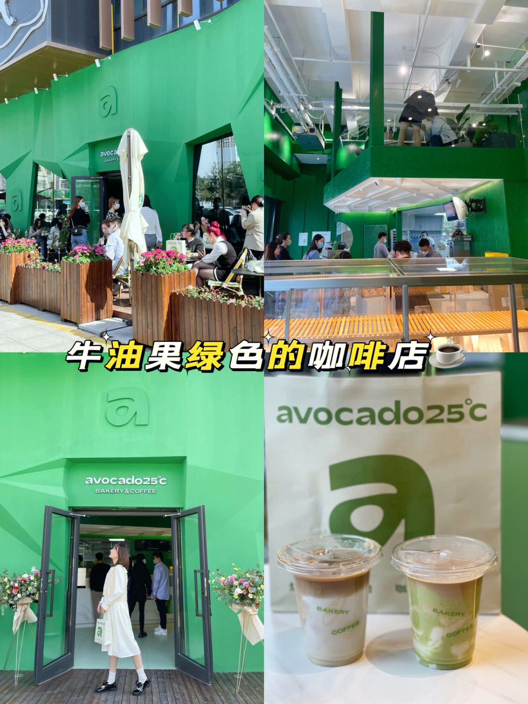 avocado frick图片