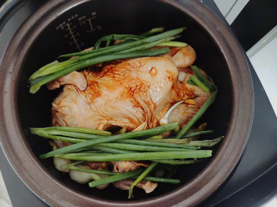 电饭煲焖鸡汤图片