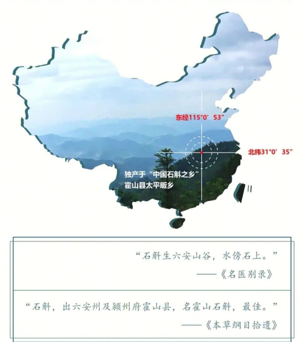 霍山石斛北纬31度图片