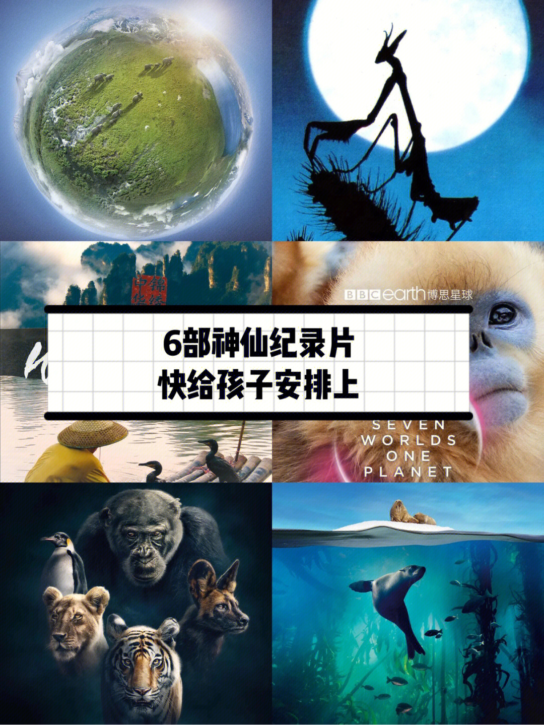 地球生物圈纪录片图片