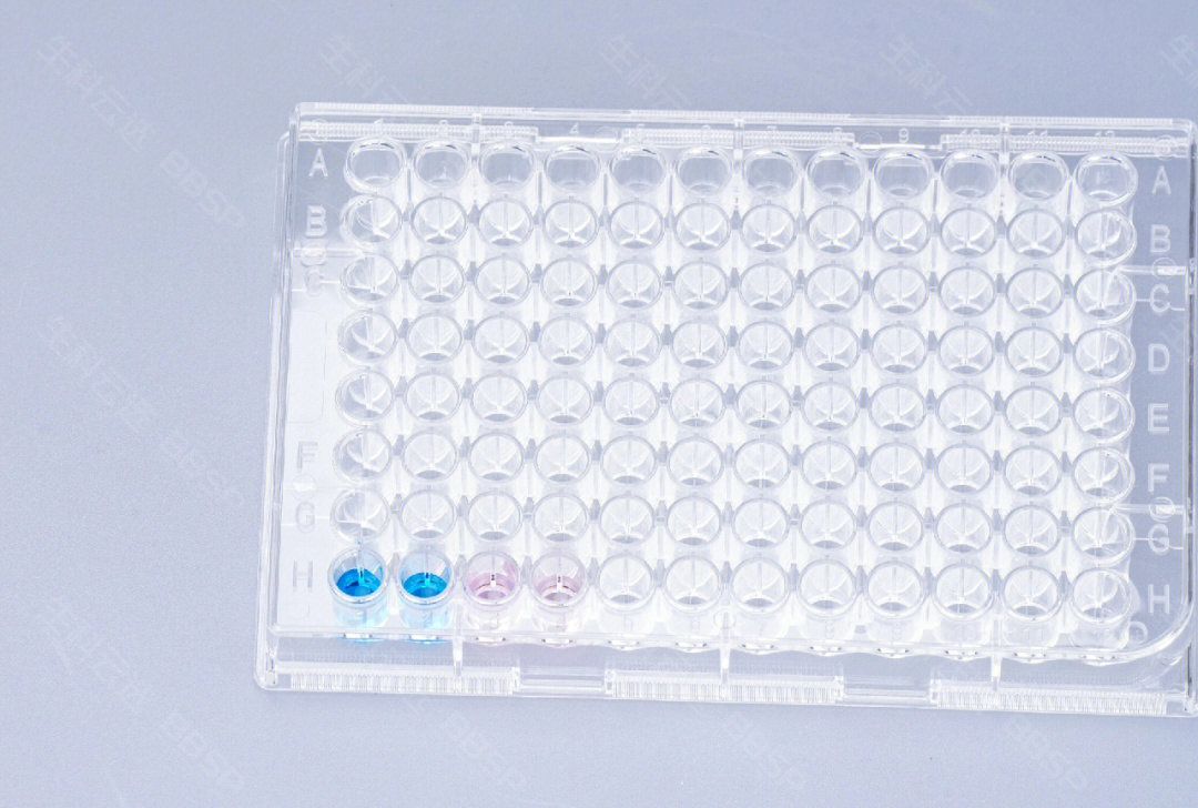 干货分享pcr引物设计原理与方法