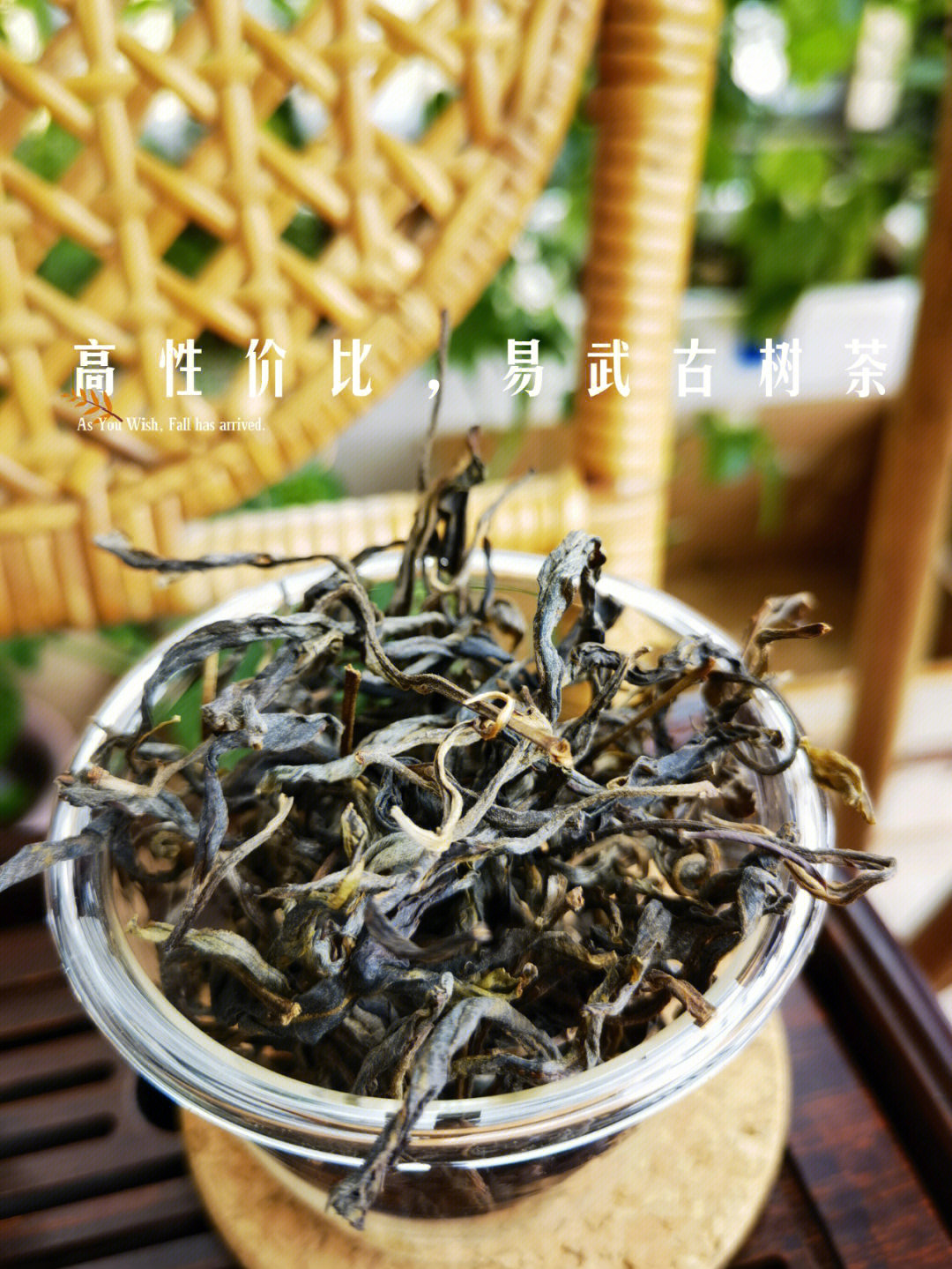 易武正山古树茶特点图片