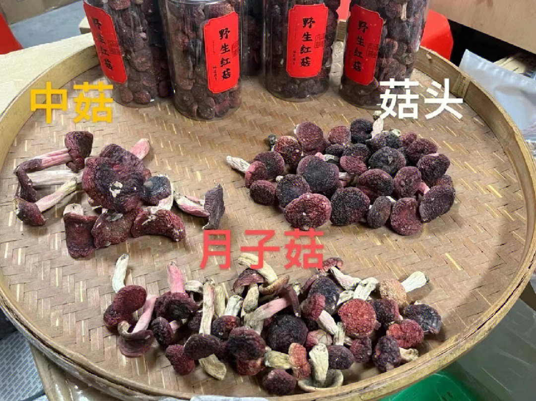 红菇怎么辨别真假图片