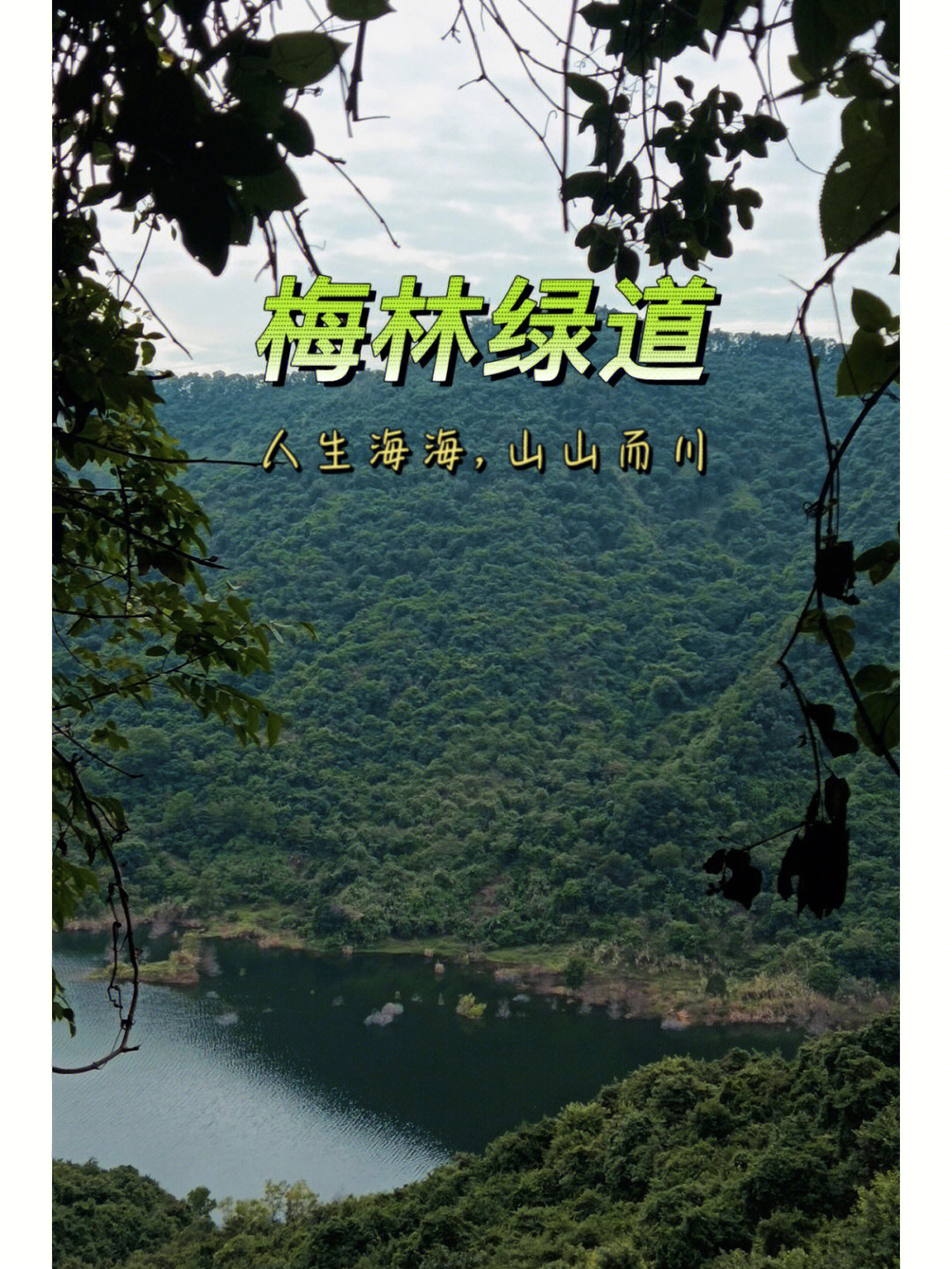 深圳梅林水库绿道攻略图片