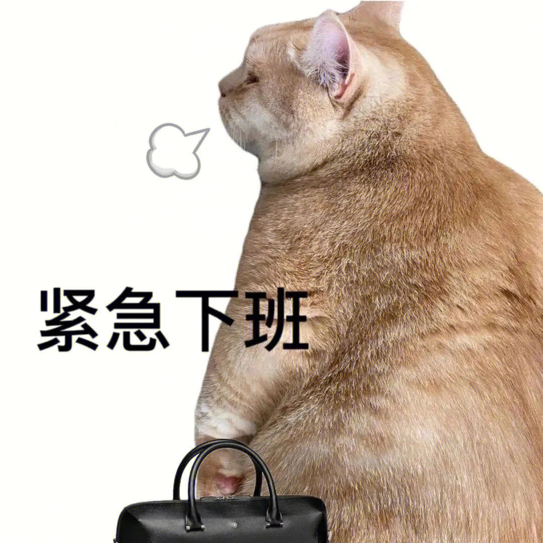 猫猫叹气#猫猫表情包#猫咪表情包#表情包分享#搞笑表情包