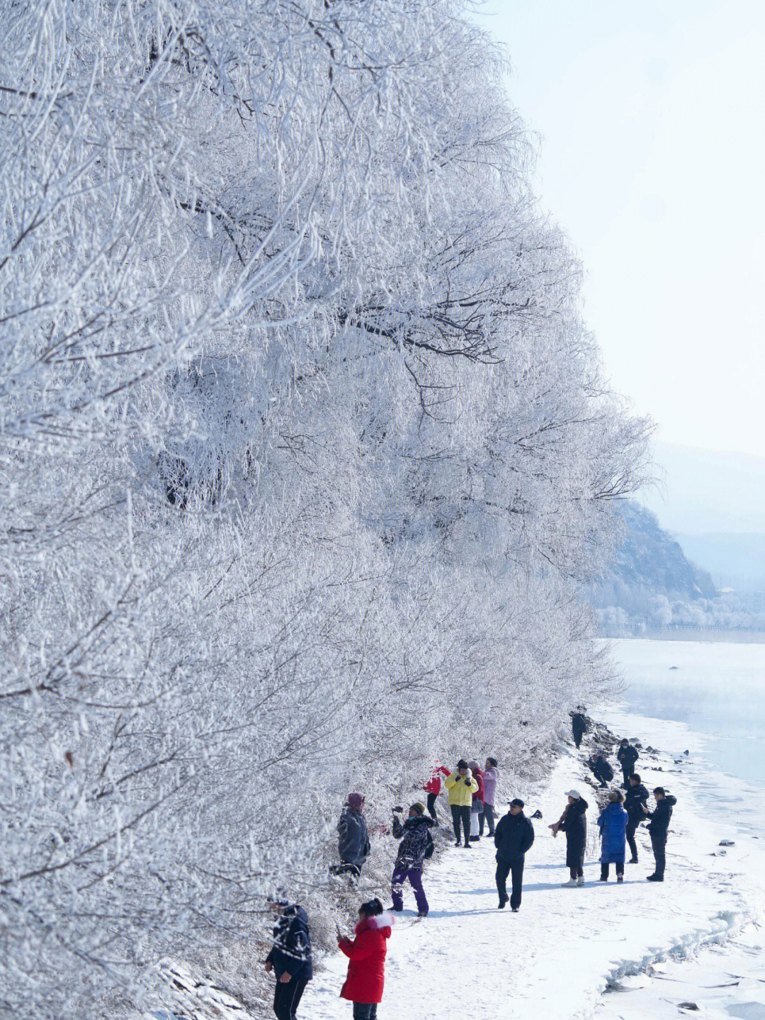2022年2月22日,吉林省吉林市出现雾凇景观,松花江畔的树木银装素裹