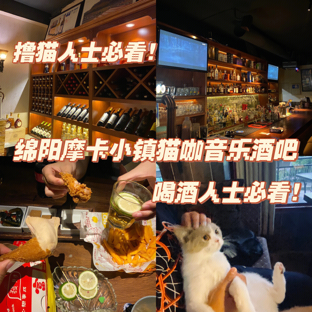 保定猫族酒吧图片