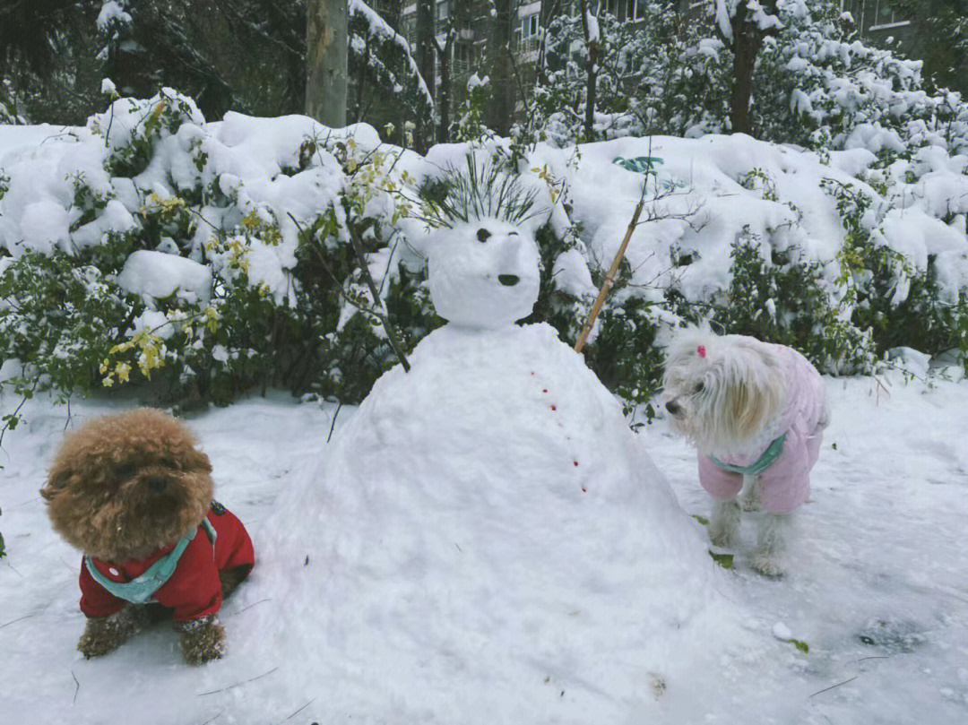 堆雪人