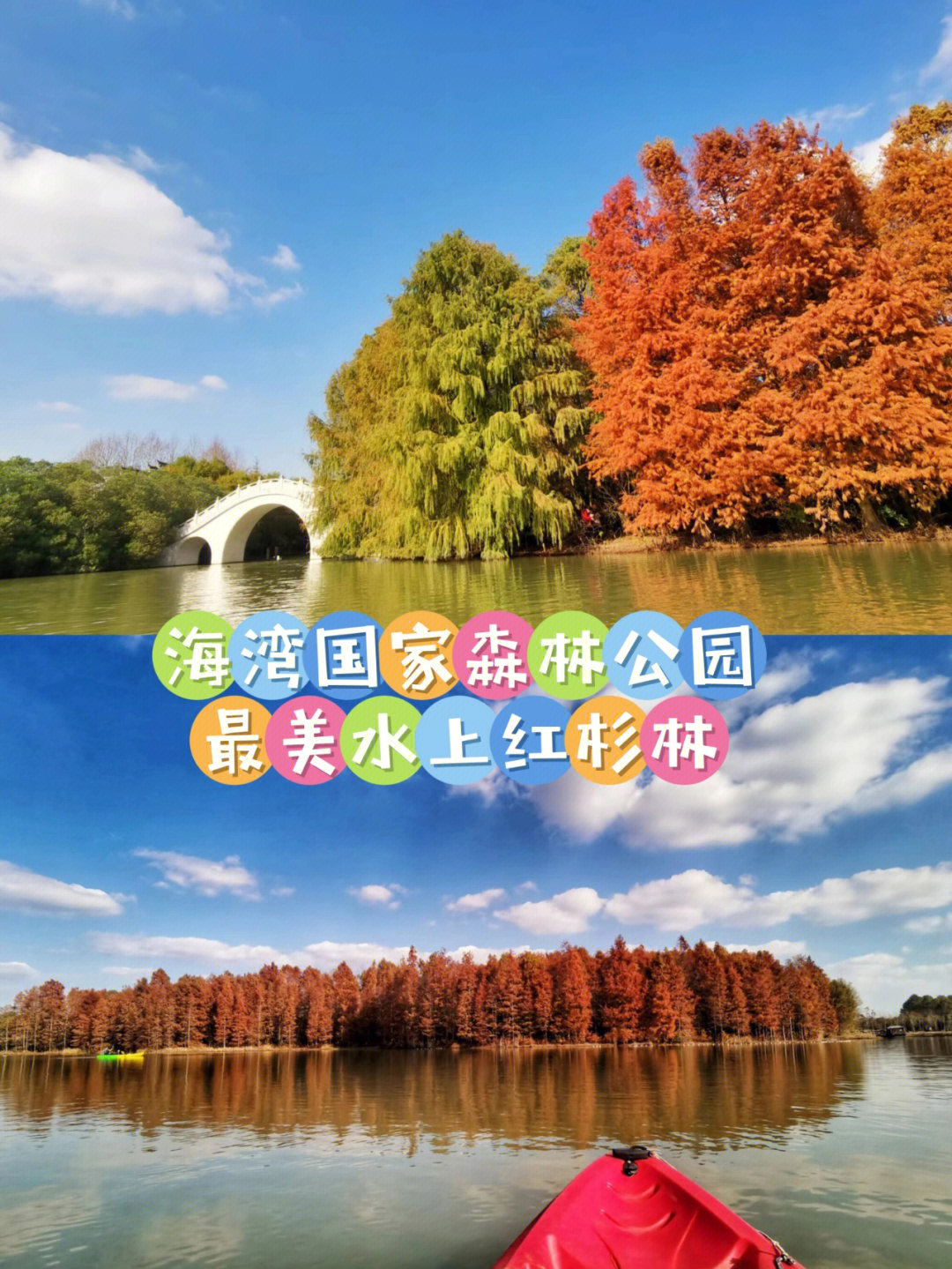 上海海湾森林公园地址图片