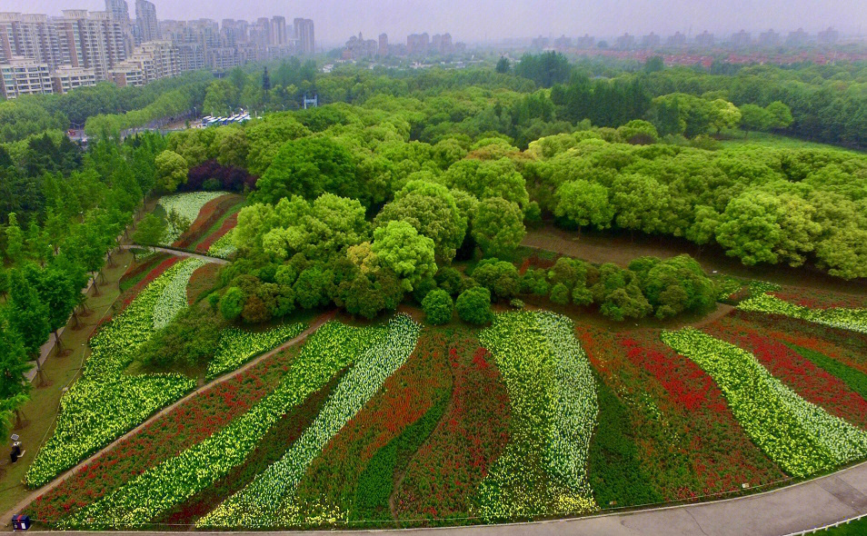 世纪森林公园介绍图片