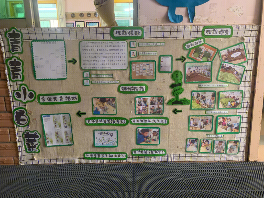 幼儿园竹子班本课程图片