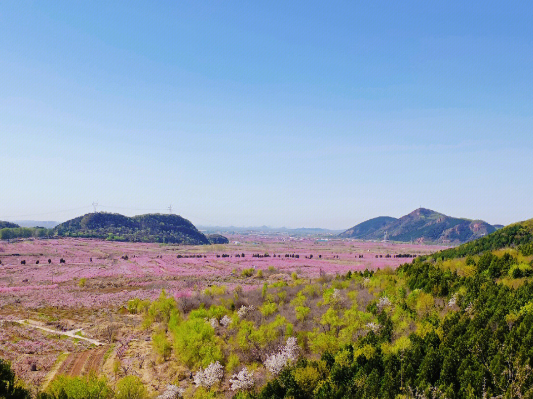 平谷桃花海周末的赏花野餐时光