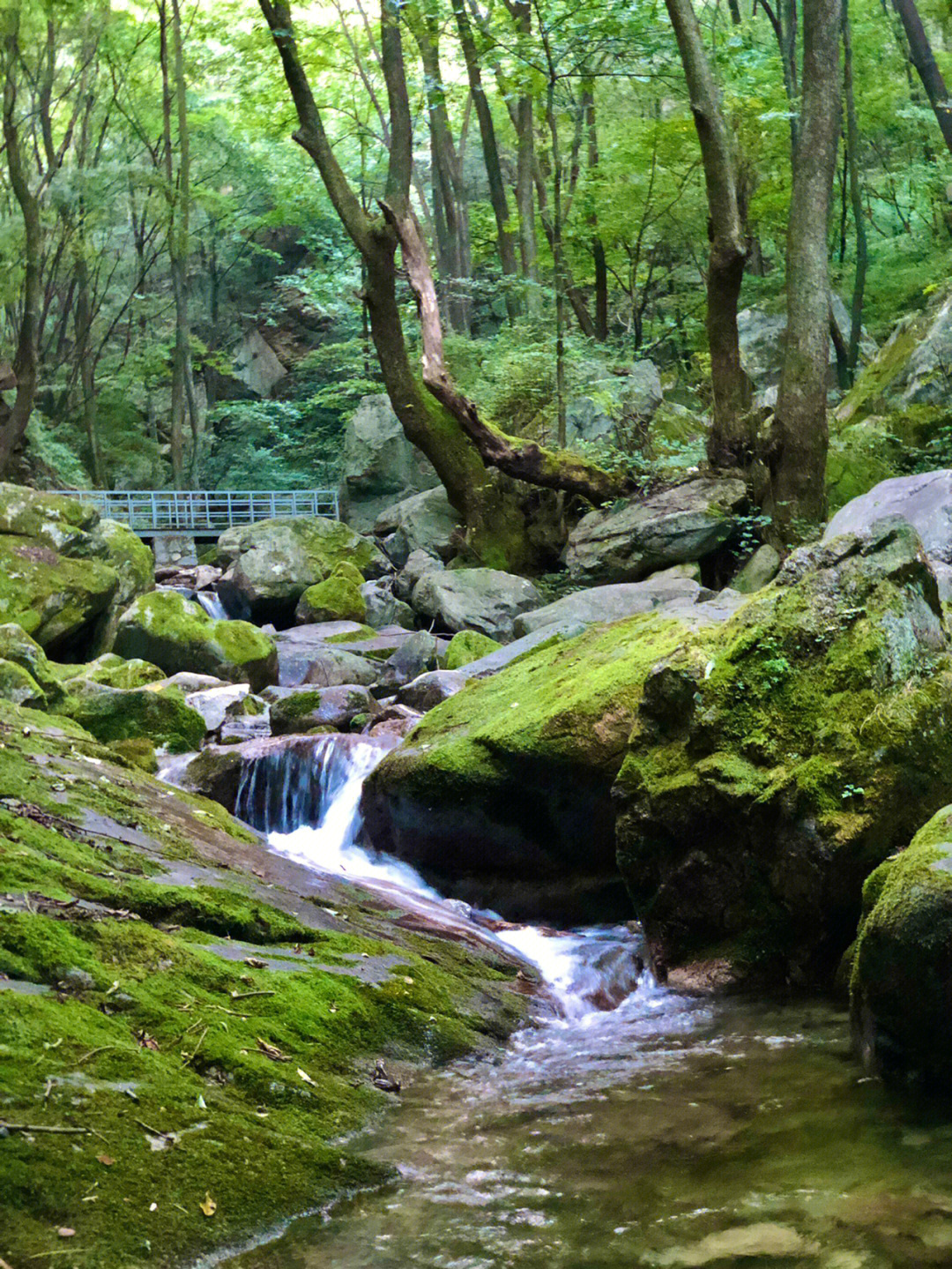 西沟风景区图片