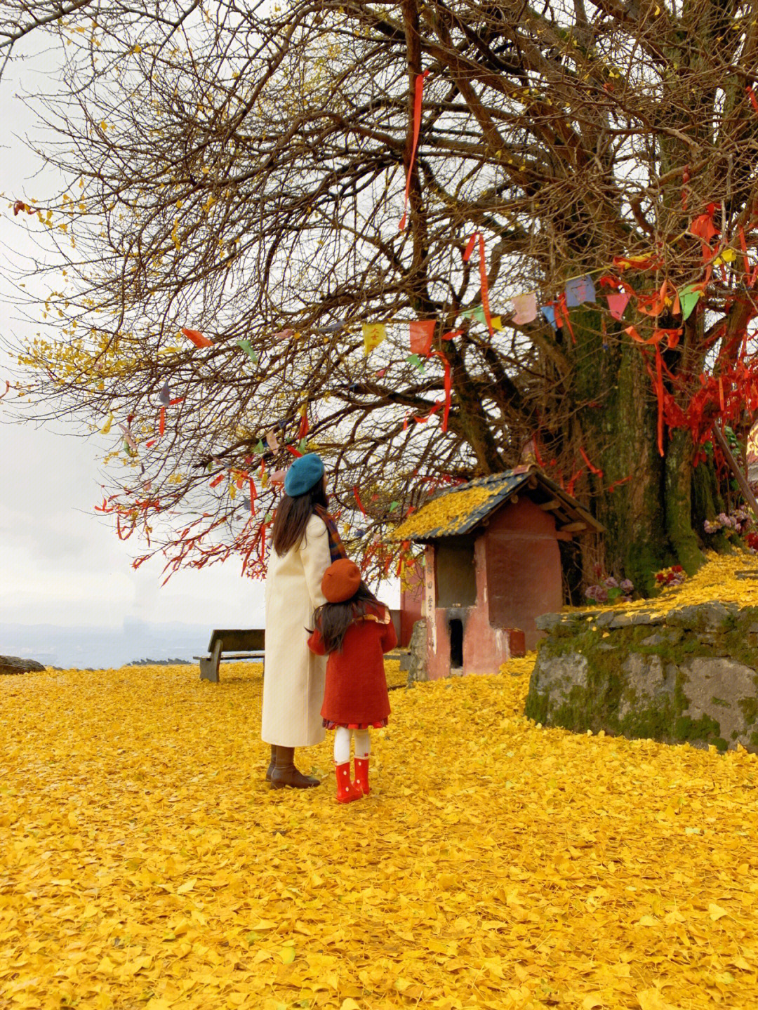 怀化凉山登岚寺银杏落了一地的浪漫94