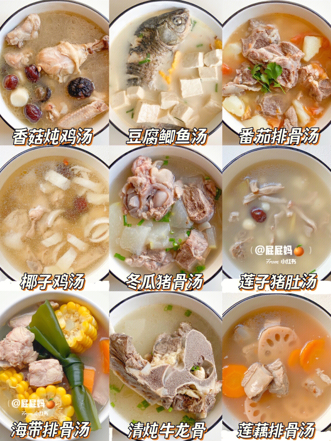 春季汤类菜谱大全图片