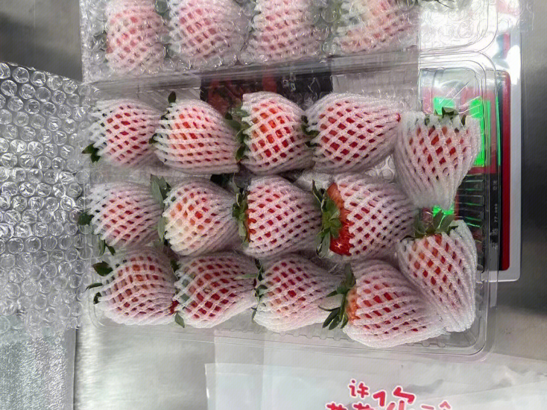 丹东九九草莓国耻图片