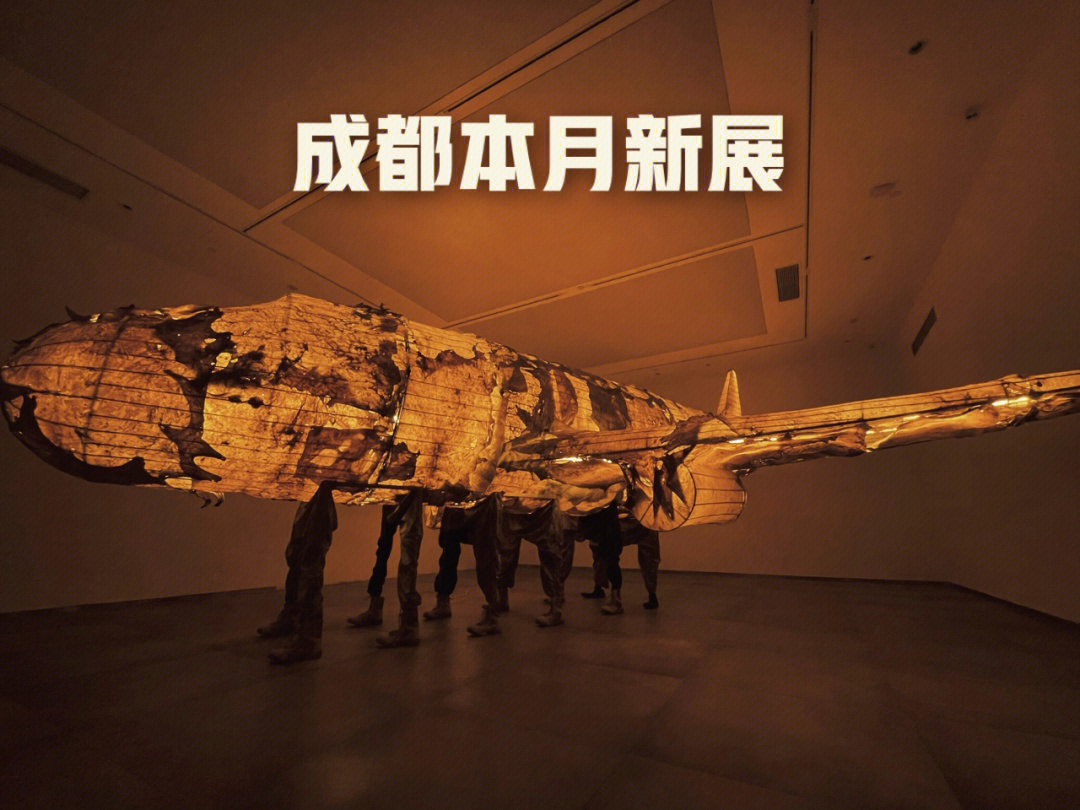 成都46月看展有被震撼到的沉浸式艺术展