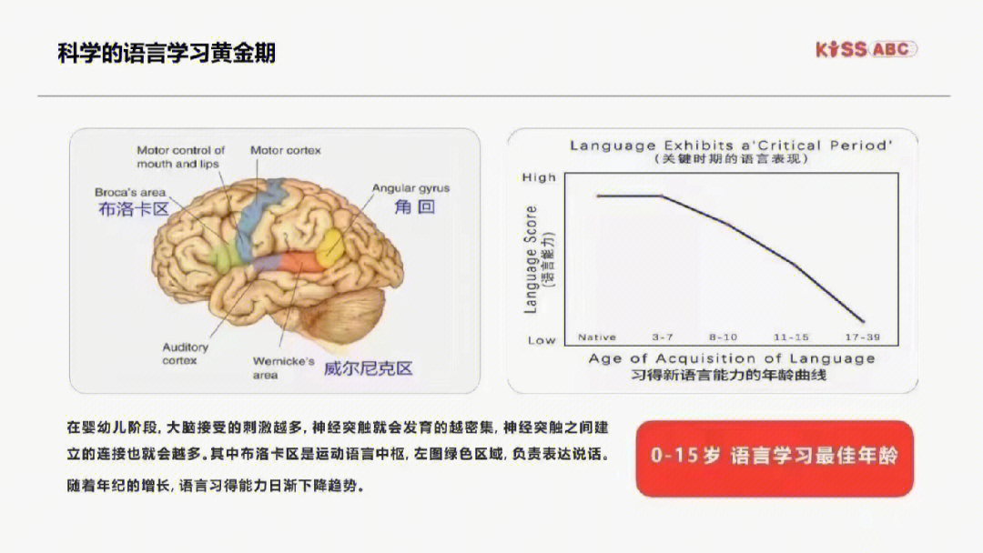 科学语言学习黄金期015岁