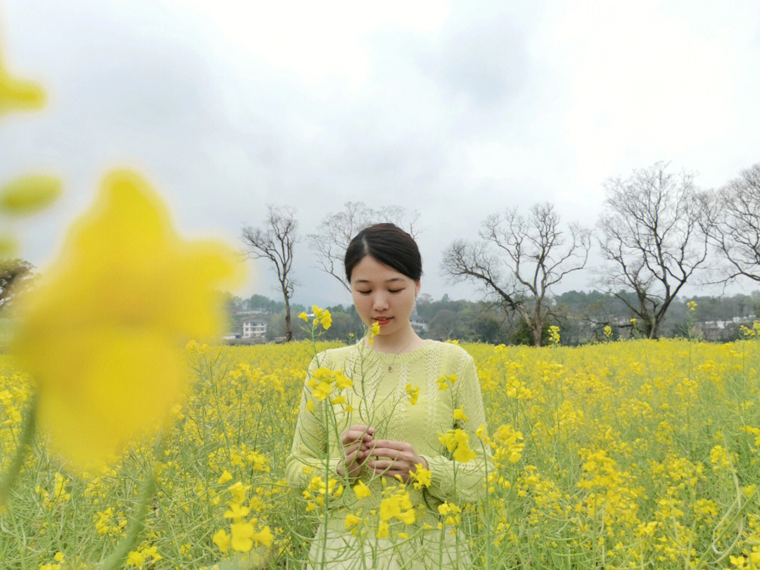 油菜花拍照