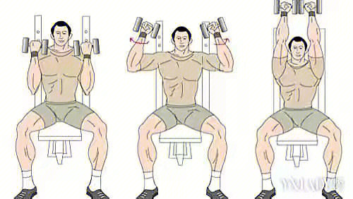 三角肌锻炼方法三角肌分为前支,中支,后支三部分,根据不同的部位,锻炼