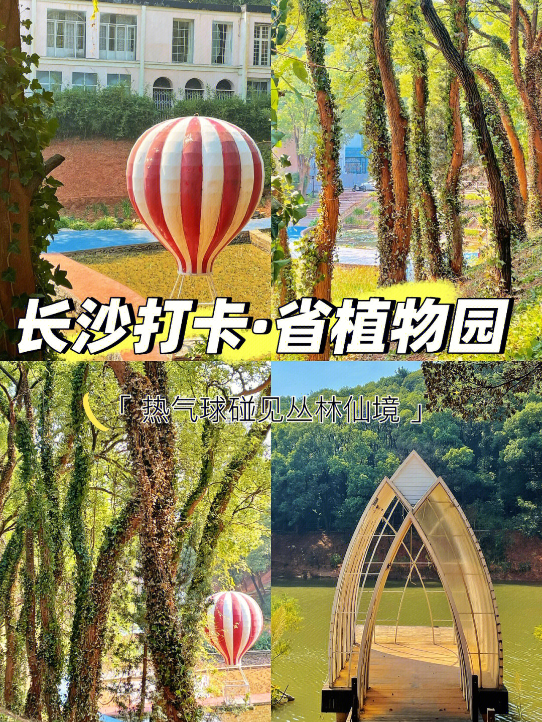 长沙植物园攻略图片