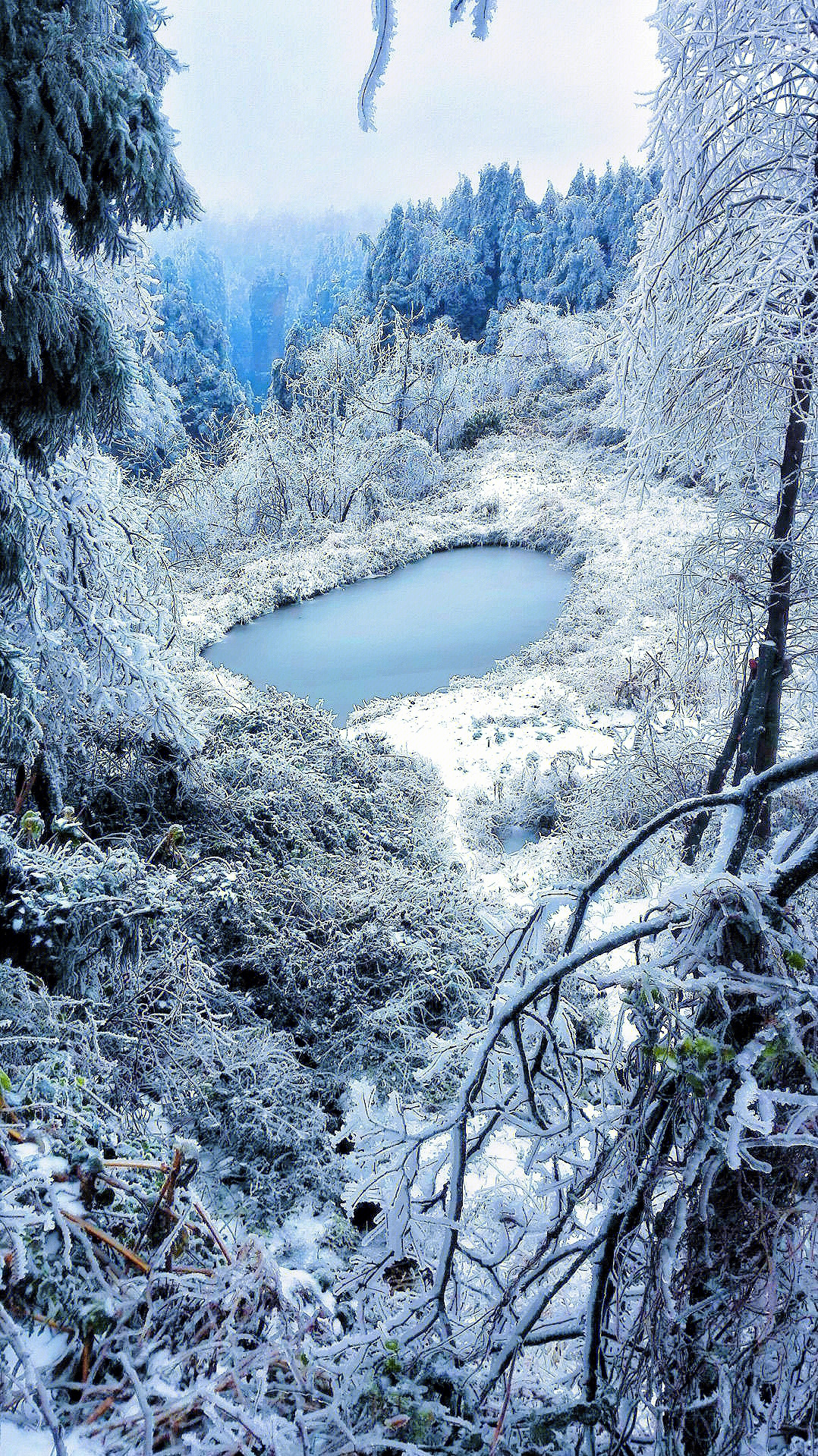 张家界雪景图片