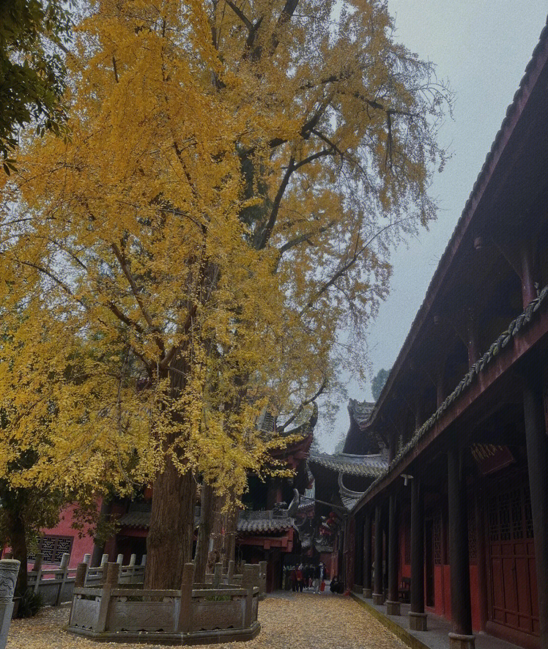 石经寺