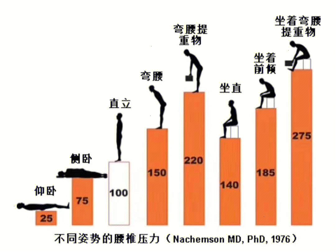 不同姿势的腰椎压力腰椎间盘突出的原理