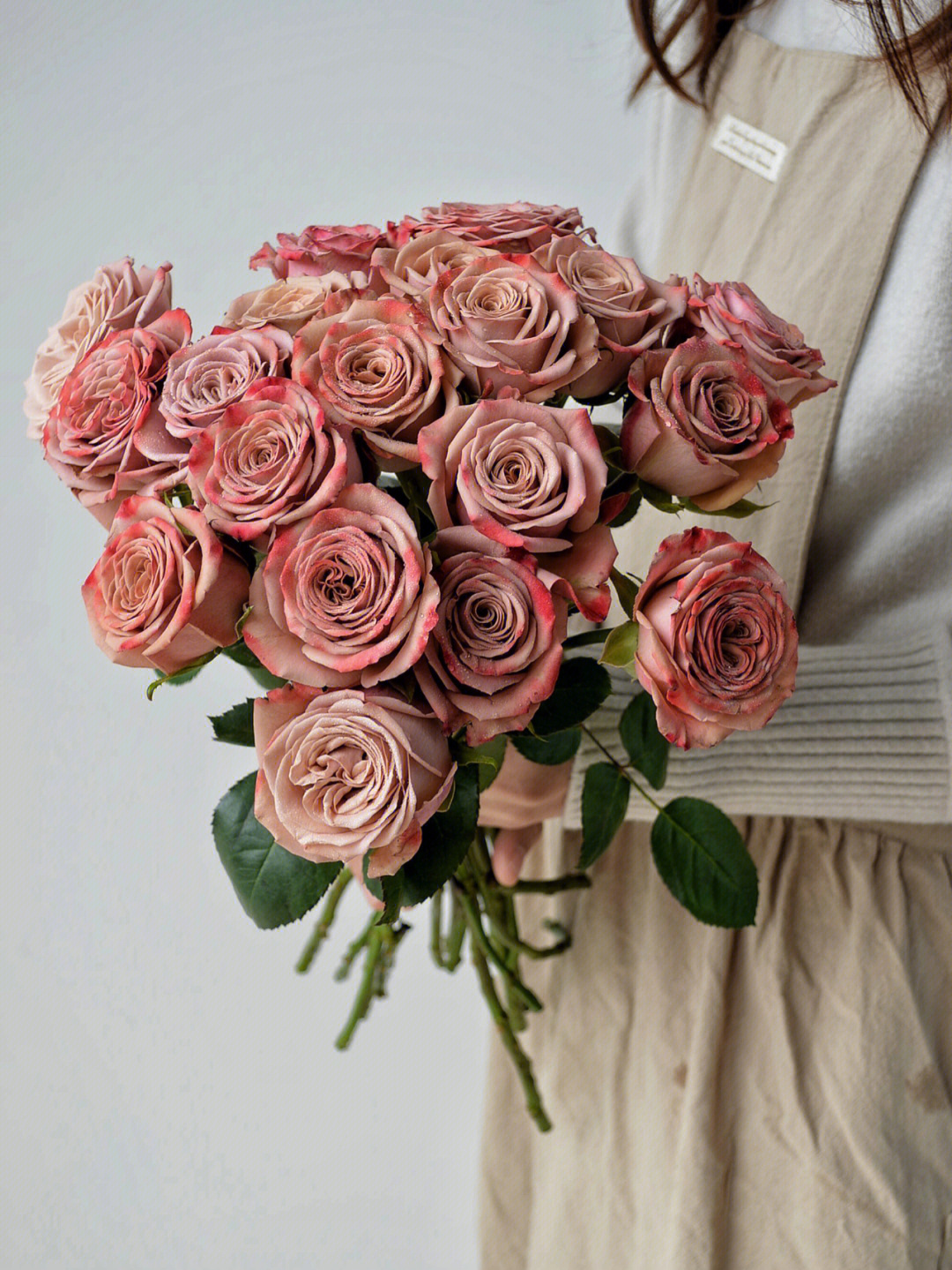 卡布奇诺玫瑰花背景图图片