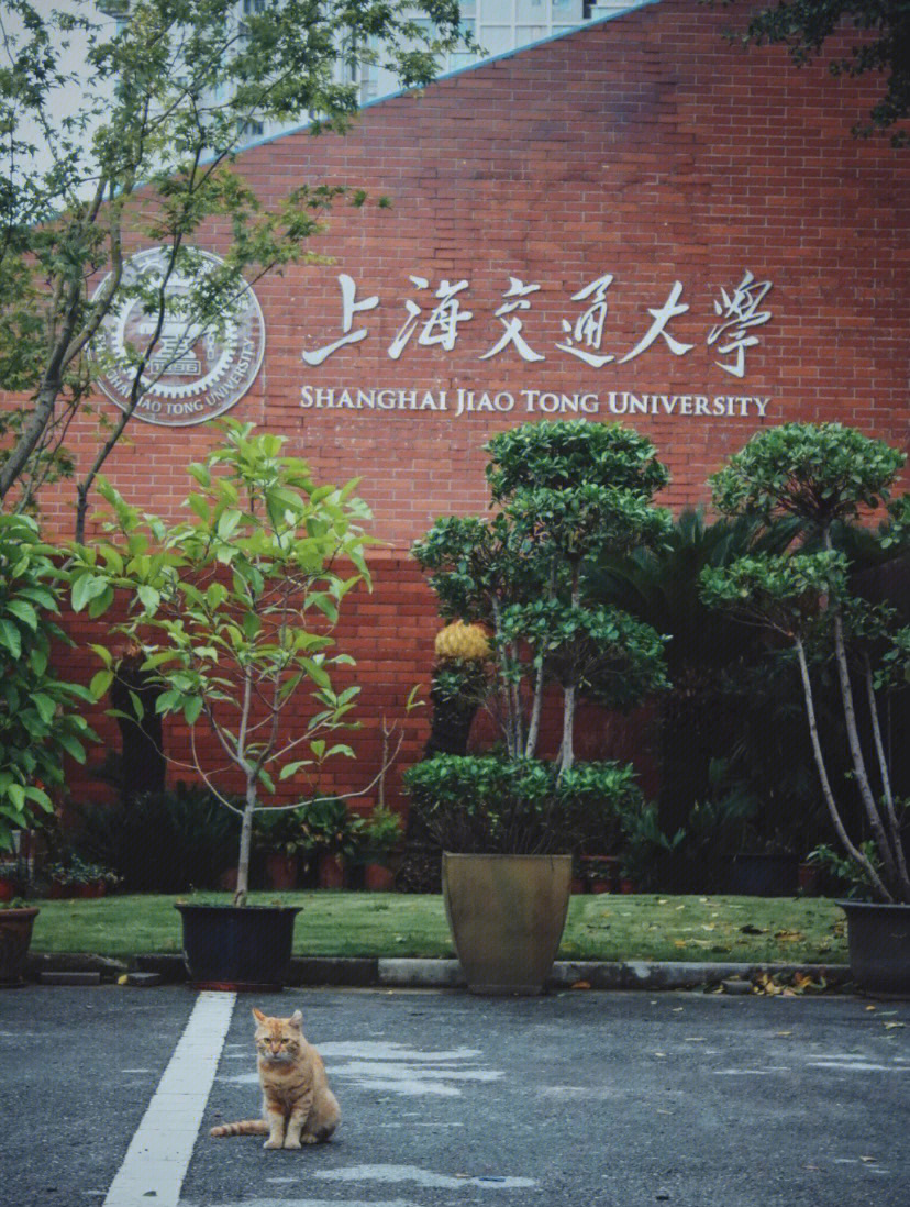 上海交通大学