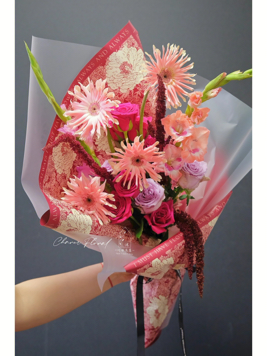 非洲菊花语 粉色图片