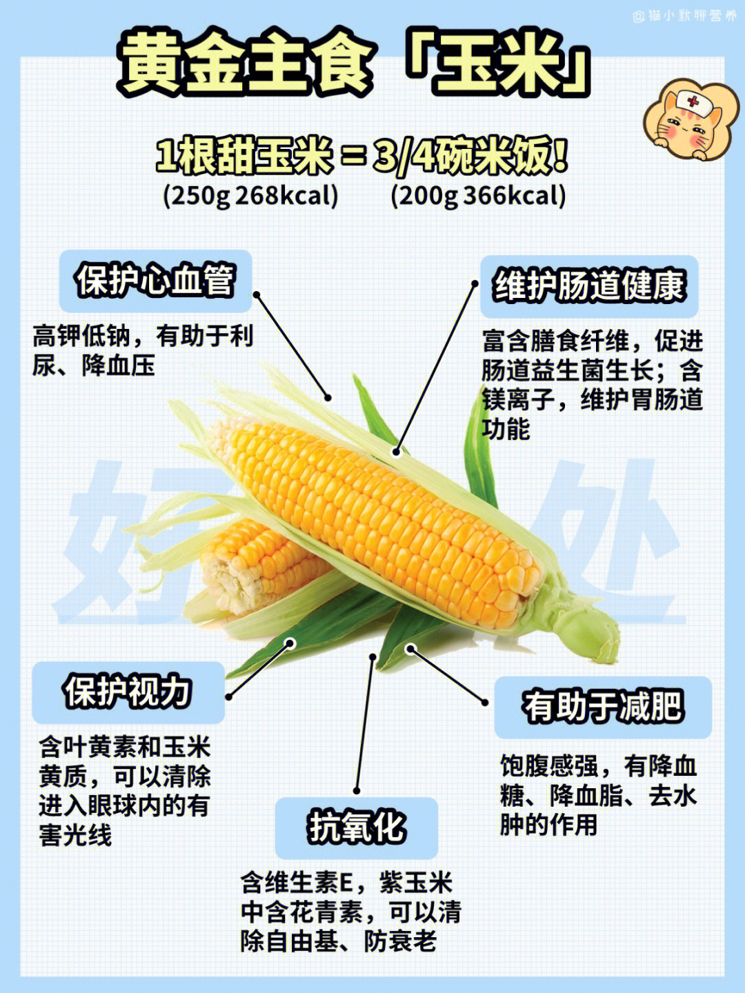 玉米的功效与作用图片图片