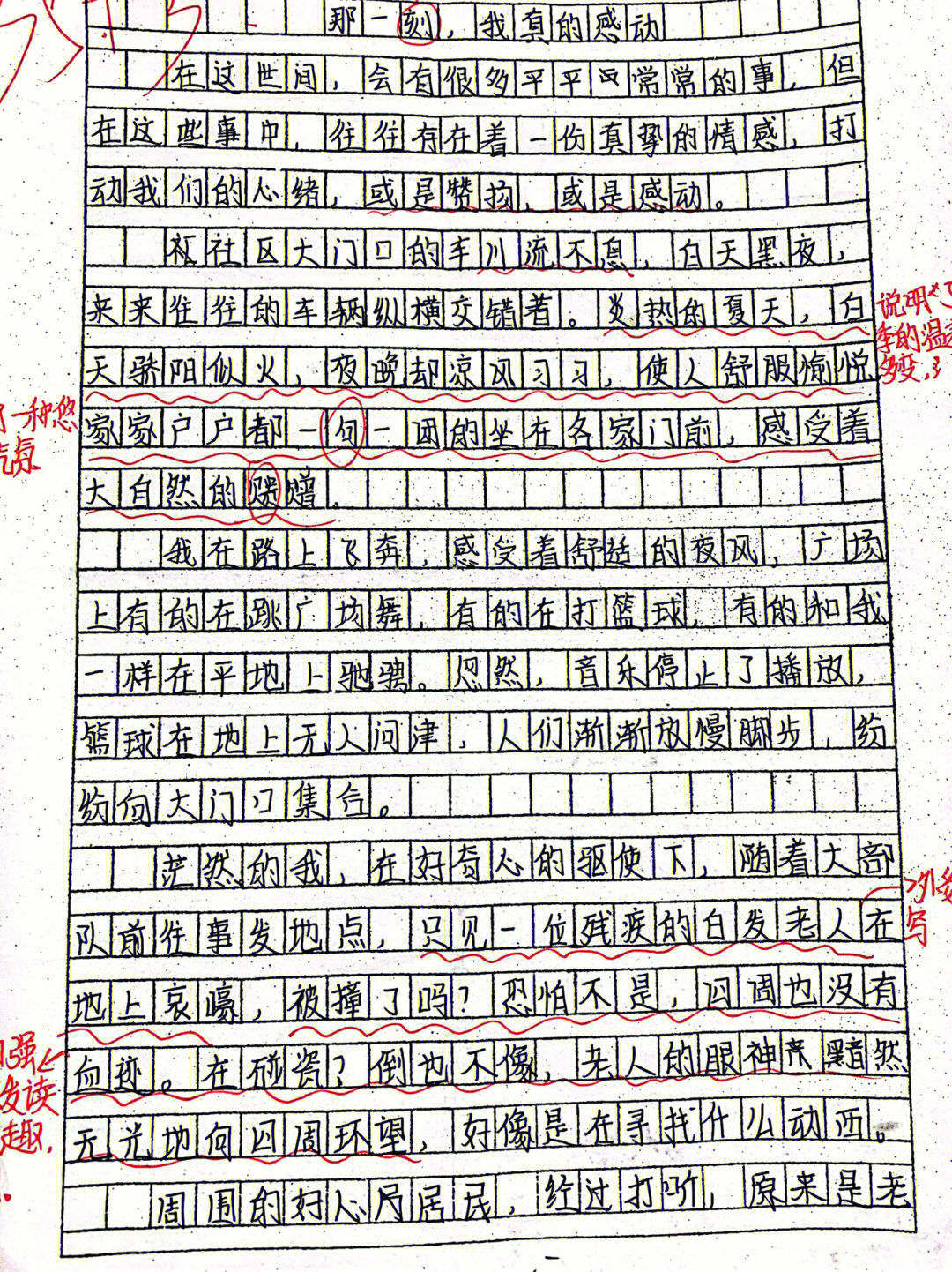 七上作文那一次我真学生习作5