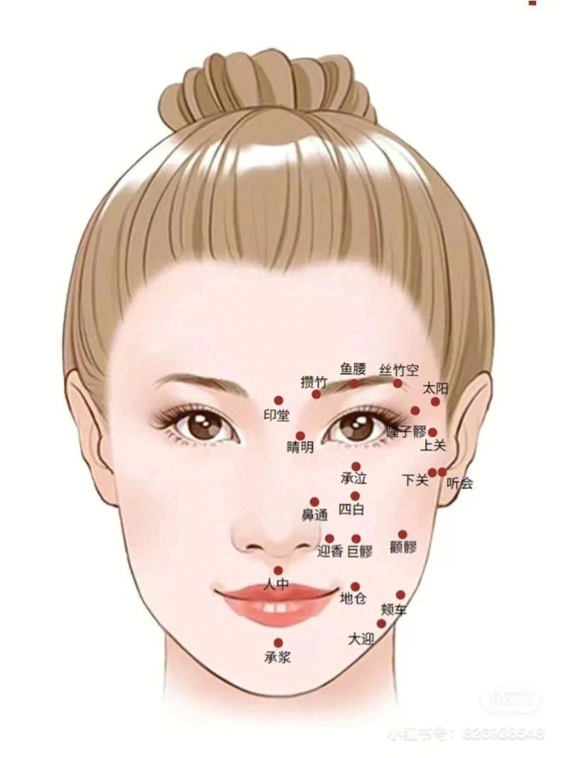 面部刮痧穴位详解