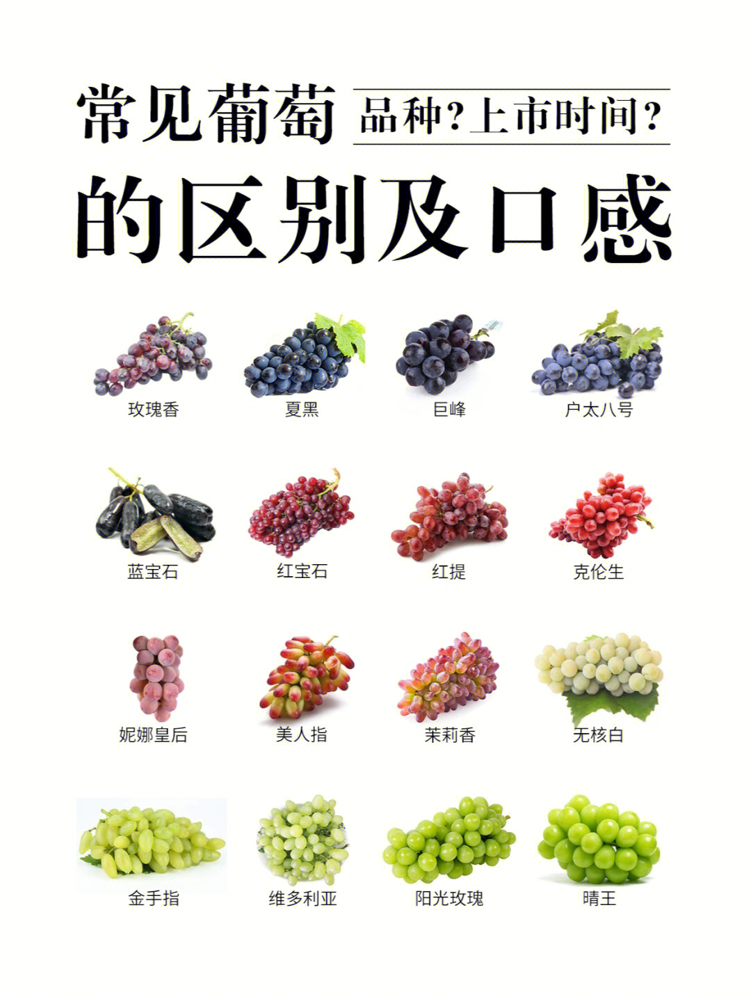 葡萄品种大全名字图片