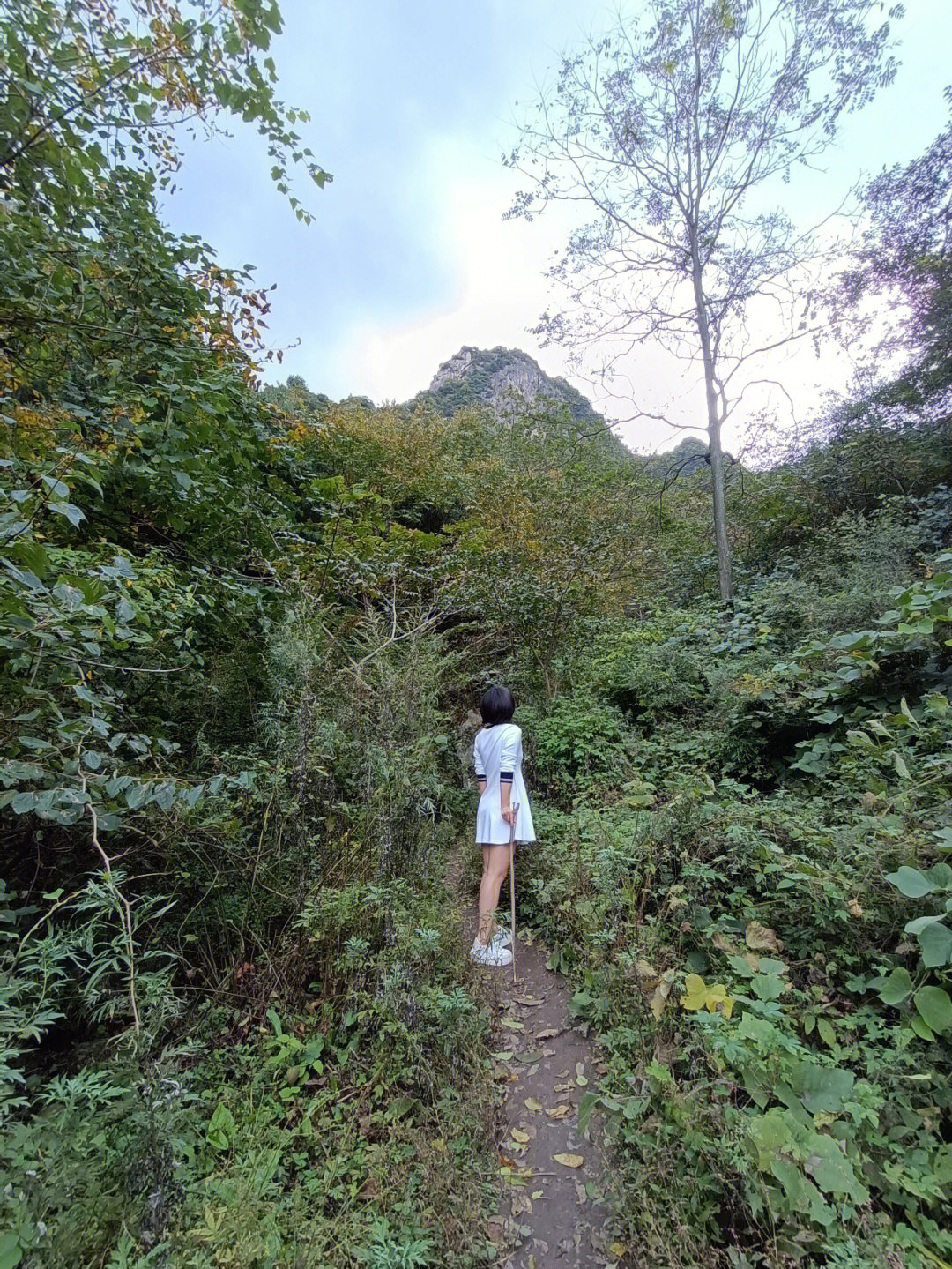 陆良终南山简介图片