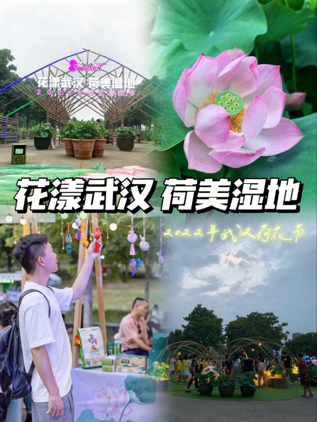 2022年武汉荷花节花漾武汉荷美湿地