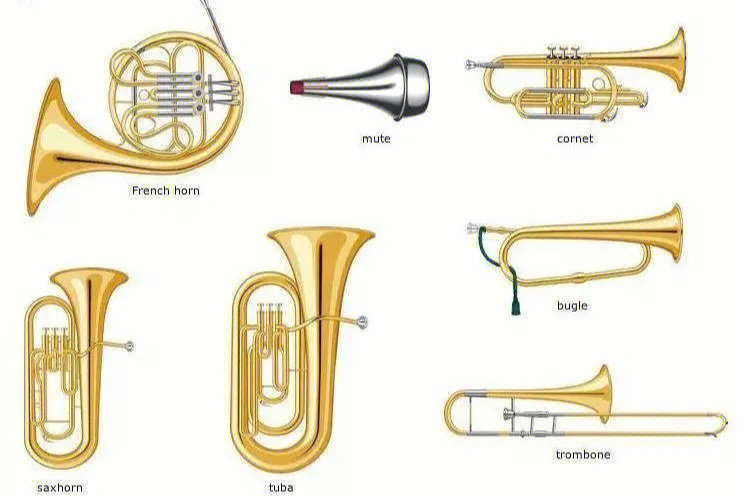 如何区分铜管乐器